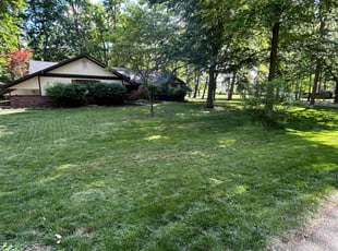 Holly L.'s Yard Cutting service result
