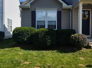 Bush Trimming by Dan Bower for Lee D. in Maineville, OH