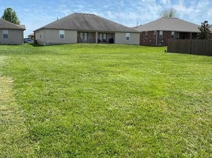 Kareemah M.'s Lawn Service service result