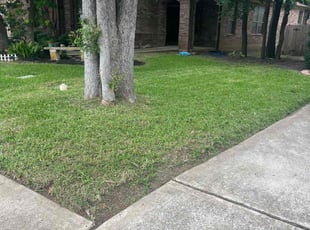 Scott W.'s Lawn Service service result