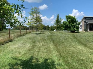 Arash T.'s Lawn Mowing service result