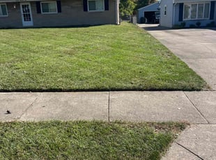 Joel M.'s Lawn Care service result