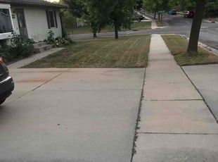 Heavenle M.'s Lawn Service service result