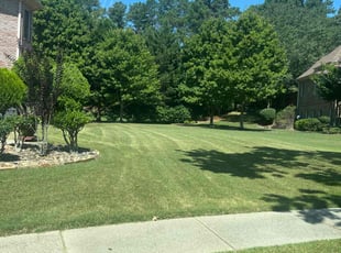 Juan C.'s Lawn Mowing service result