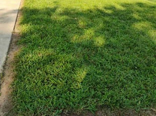 Jim_Carla A.'s Yard Cutting service result