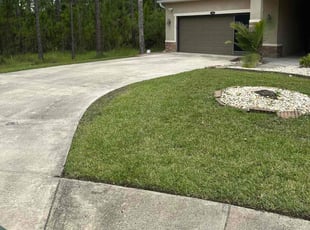 Ashisa N.'s Lawn Mowing Service service result