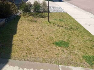 Weeding by Jay Bradley for Nick D. in Colorado Springs, CO