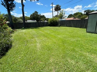 Amado E.'s Lawn Service service result