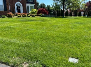 Brunet B.'s Yard Cutting service result