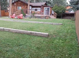 Cindi A.'s Lawn Care service result