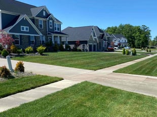 Tj U.'s Lawn Service service result