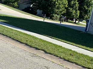Rob B.'s Yard Cutting service result