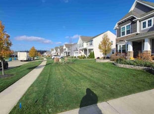 Dale L.'s Lawn Care service result
