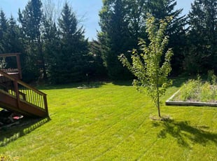 abdi i.'s Lawn Care service result