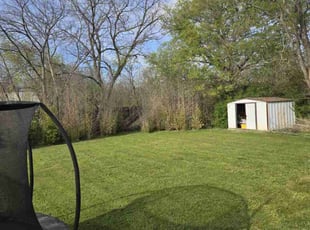 Michael R.'s Lawn Mowing service result