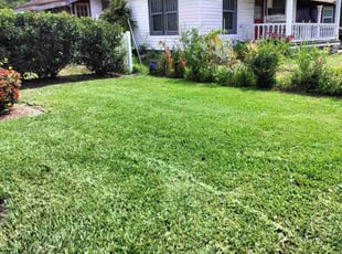 Jeremey C.'s Yard Cutting service result