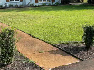 Carole M.'s Lawn Care service result