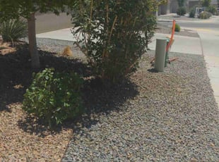 Leaf Removal by Manuel Lucero for Ishmel N. in Albuquerque, NM