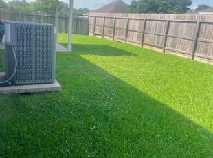 Shanice O.'s Lawn Mowing service result