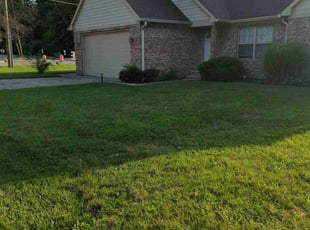 shaila r.'s Grass Cutting service result