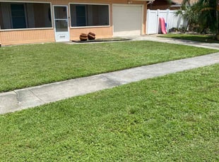 Nikita H.'s Lawn Service service result