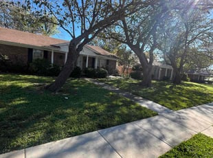 Laura D.'s Lawn Mowing service result