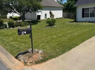 Patti P.'s Yard Cutting service result