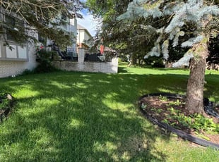 Carol R.'s Yard Cutting service result