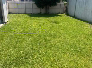 Denise A.'s Lawn Maintenance service result