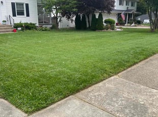 Mike B.'s Lawn Mowing service result