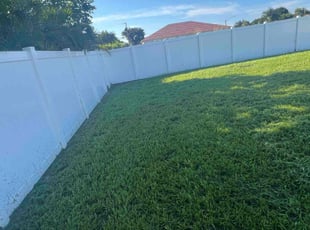 Salem G.'s Lawn Care service result