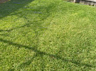 Melissa A.'s Lawn Care service result
