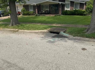 Elizabeth E.'s Lawn Mowing Service service result