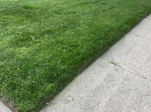 Cleanups by Ricardo Binyard Jr for Melba R. in Sterling Heights, MI