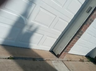 Bush Trimming by Cesor Garza for Syed R. in Arlington, TX