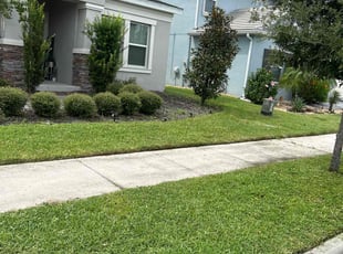 Sue L.'s Lawn Mowing service result
