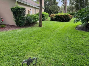 Christopher S.'s Lawn Mowing Service service result