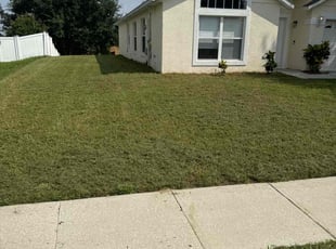 Aslin O.'s Lawn Mowing service result