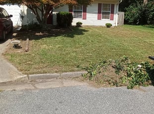 Cleanups by Terrill Williams for Thomas M. in Newport News, VA