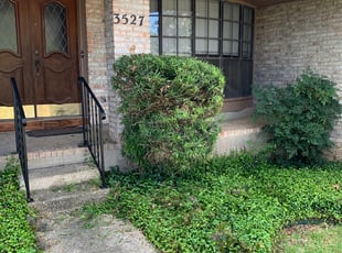 Bush Trimming by Stanmore Hinds for SARAH T. in San Antonio, TX