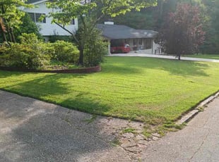 Khyzal B.'s Yard Cutting service result