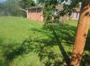 Justin S.'s Lawn Service service result