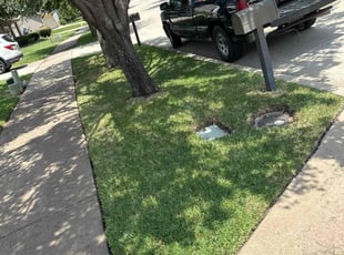 Jessie s.'s Lawn Service service result
