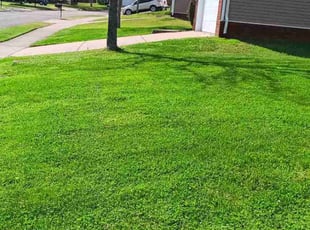 Daryle J.'s Lawn Care service result