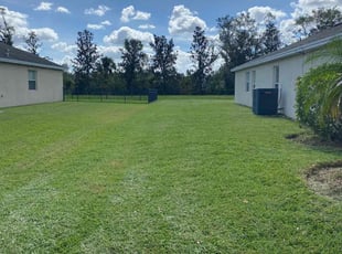Diana H.'s Lawn Mowing service result