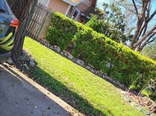 Jonathan J.'s Lawn Maintenance service result