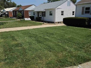 Robin T.'s Lawn Mowing service result