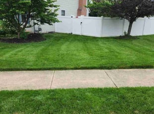Anjhari M.'s Lawn Mowing Service service result