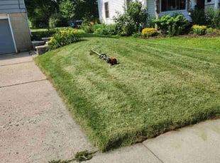 Dan Z.'s Lawn Service service result