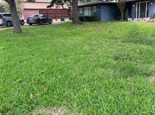 Leaf Removal by Jose Luciano for Judith F. in Dallas, TX